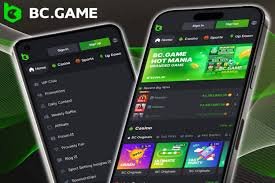 Cryptocurrency Gaming Exploring BC.Game Casino in Pakistan